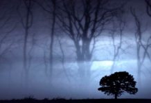 Benarkah Ada Ruh Gentayangan? Begini Penjelasannya