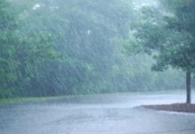 Tips Menjaga Kesehatan Anak di Musim Pancaroba