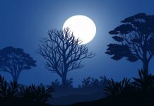 Apa Agama Jin? Begini Penjelasannya